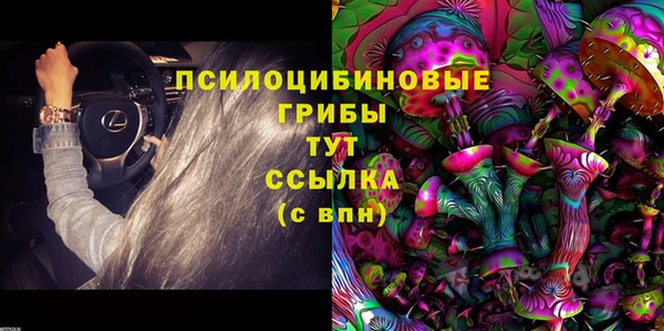 марихуана Новозыбков