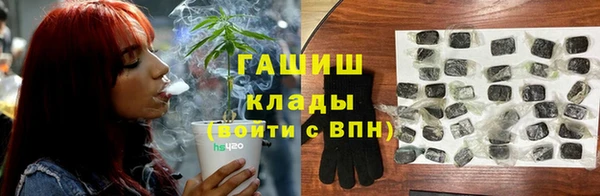 твердый Алексеевка